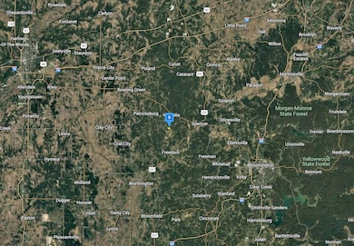 1100 Splinter Ridge Rd, Lafayette Township, IN 47460 - photo 3