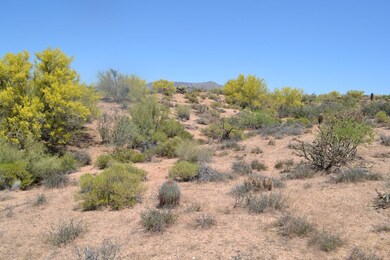 10 Acres (8)