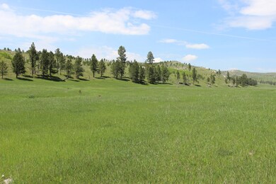 20.57 acres Custer Limestone Rd, Crazy Horse, SD 57730 - photo 6