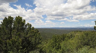 32450 Timber Ridge Ln unit B31, Trinidad, CO 81082 - photo 4