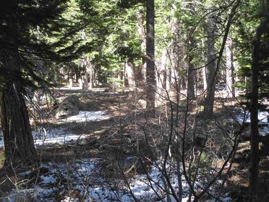 Property backs to Forest Service Land.
