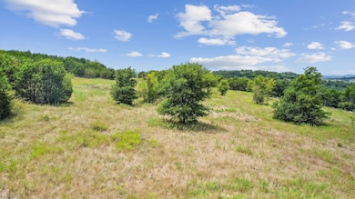 Lot 15 unit High Ridge Court, Mineral Wells, TX 76067 - photo 3
