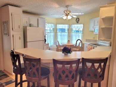 6226 Jessup Dr unit 437, Zephyrhills, FL 33540 - photo 4