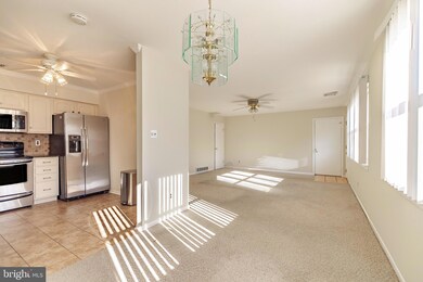 5 Pine Ave, Hammonton, NJ 08037 - photo 6