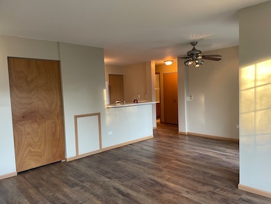 801 Silverstone Dr unit 81, Carpentersville, IL 60110 - photo 7