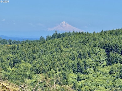 11892 Dupee Valley Rd, McMinnville, OR 97128 - photo 3