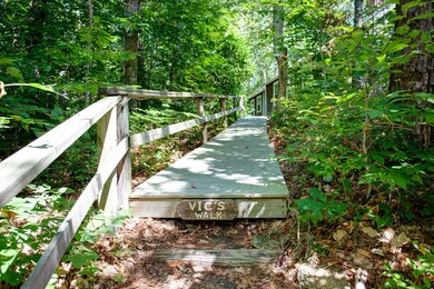 66 F r Lillie Rd, Woods Hole, MA 02543 - photo 3