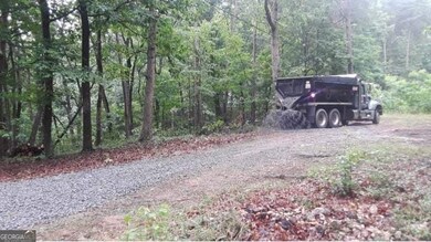 0 Pink Mountain Blvd unit 10649650, Cleveland, GA 30528 - photo 6