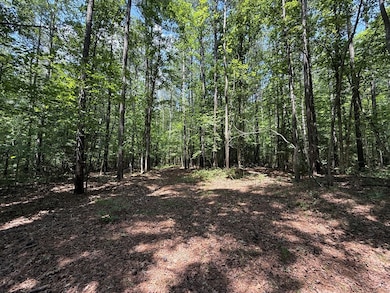 37-39 Field Trial Rd, Lancaster, VA 22503 - photo 7