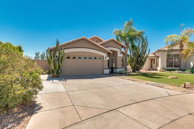 02-Ocotillo