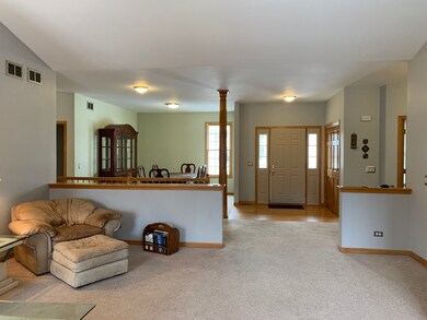 1531 Southridge Trail, Algonquin, IL 60102 - photo 6