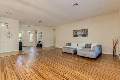 Eucalyptus - 5610 (7)
