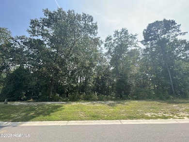 3481 Belle Meade NE, Leland, NC 28451 - photo 5