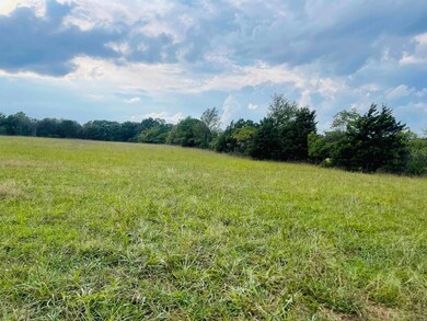 0 Shady Grove Rd unit 25037910, Leslie, AR 72645 - photo 6