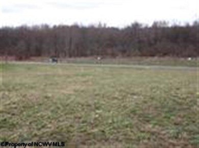 32 Preston Meadows St, Reedsville, WV 26547 - photo 2