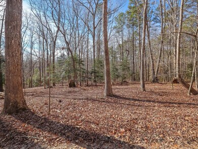 399 Bent Tree, Pittsboro, NC 27312 - photo 7