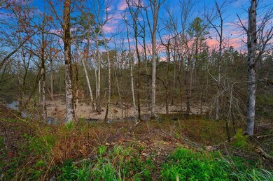 311 Lookout Pines Trail, Broken Bow, OK 74728 - photo 6