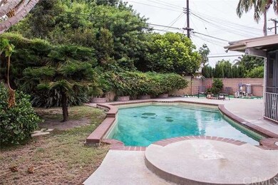 A very large back yard with fruit trees, unique pool and screened in patio for entertaining and plenty of summer parties and BBQ's.