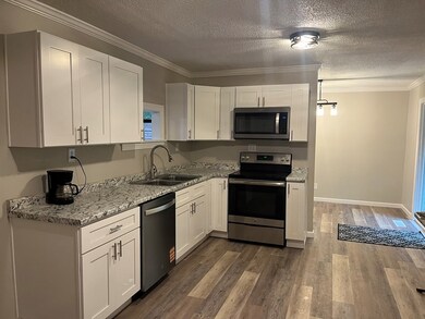 830 Chattanooga Rd, Cohutta, GA 30710 - photo 7