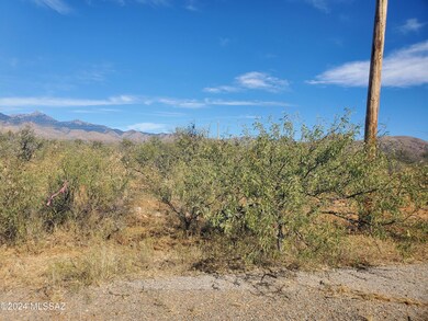 403 Via Pera unit 2, Rio Rico, AZ 85648 - photo 4