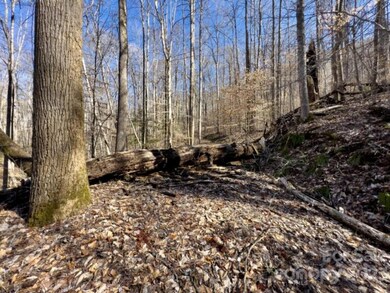 0 Bee Branch Dr unit CAR4027281, Cowee, NC 28734 - photo 6