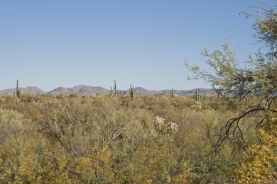 Tortolita Vistas