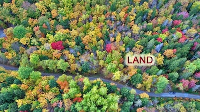 Lot 12 Winter Rd, Linneus, ME 04730 - photo 2