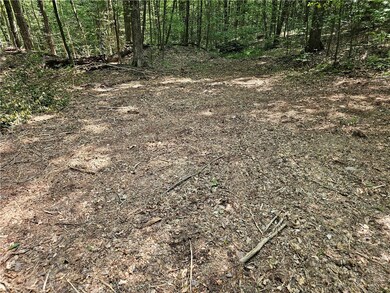 0 Cayward Rd unit R1628568, Prattsburgh, NY 14873 - photo 6