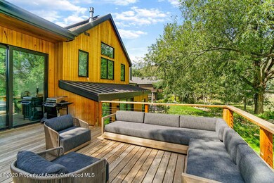 1250 Snowbunny Ln Aspen CO-small-006-025