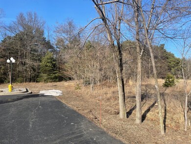 V/L E Ellis Rd, Muskegon, MI 49441 - photo 5