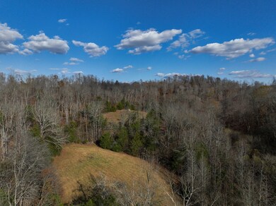 2938 Woods Prong Rd, Linden, TN 37096 - photo 3