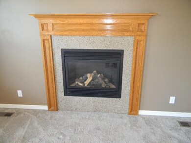 Gas Log Fireplace