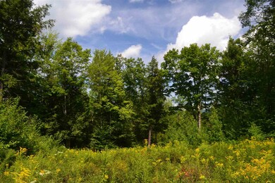 450 Emery Rd, Andover, NH 03216 - photo 7