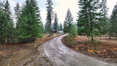 186 Gold Dust Trail, Pioneer Junction, MT 59923 - photo 6