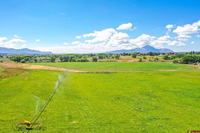 25450 Road N, Cortez, CO 81321 - photo 5