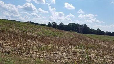 000 Ansel Deese Rd, Marshville, NC 28103 - photo 5