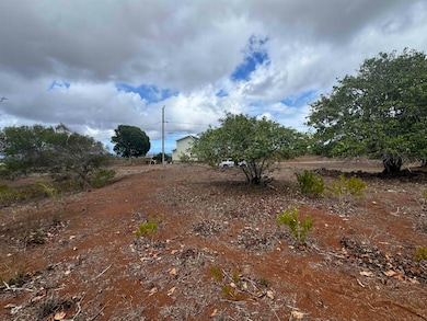 0 Kaana St unit 499, Maunaloa, HI 96770 - photo 6