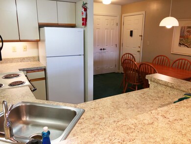 164 Deer Park Dr unit 178 D, Woodstock, NH 03262 - photo 5