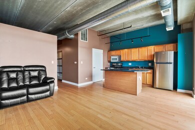 833 W 15th Place unit 514E, Chicago, IL 60608 - photo 6