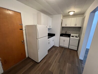75 Park St unit 8, Brookline, MA 02446 - photo 5