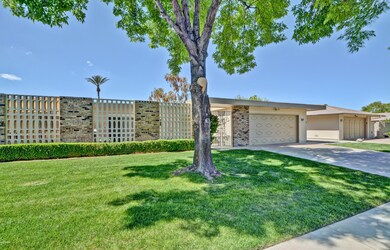 BEAUTIFUL SHADE TREE IN FRONT YARD