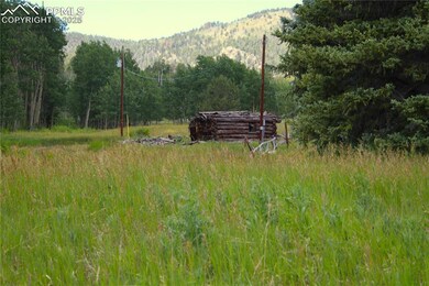 View of mountain backdrop with a forest