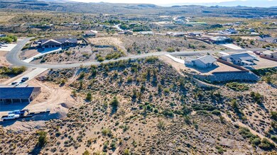Aerial view of a desert landscape and a mountain backdrop