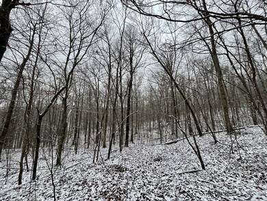 0 Sheep Bluff Rd unit RTC2480679, Cookeville, TN 38506 - photo 4