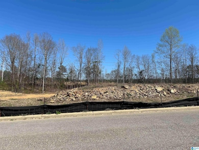 2041 Highland Gate Way, Hoover, AL 35244 - photo 2