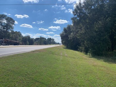 1905 Liberty Expy SE, Bridgeboro, GA 31705 - photo 3