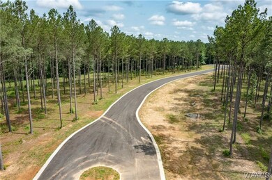 Lot 15 Stormi Way, Berry, AL 35546 - photo 4