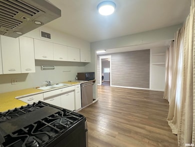 1206 W Chautauqua St, Carbondale, IL 62901 - photo 7