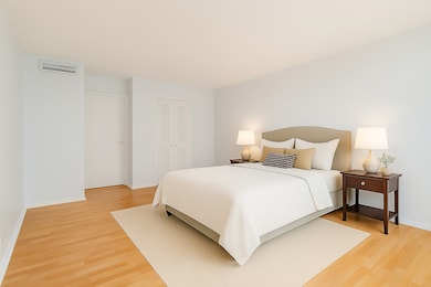 Thorndale Beach North Condominium unit 9G, Chicago, IL 60660 - photo 6