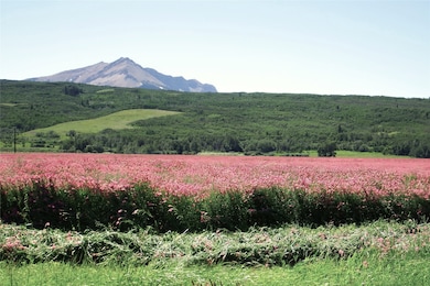 1 Boulder Dr, Babb, MT 59411 - photo 7